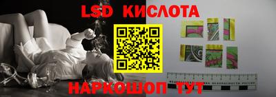 спиды Шахты
