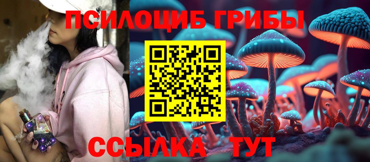 Псилоцибиновые грибы мухоморы Волгоград