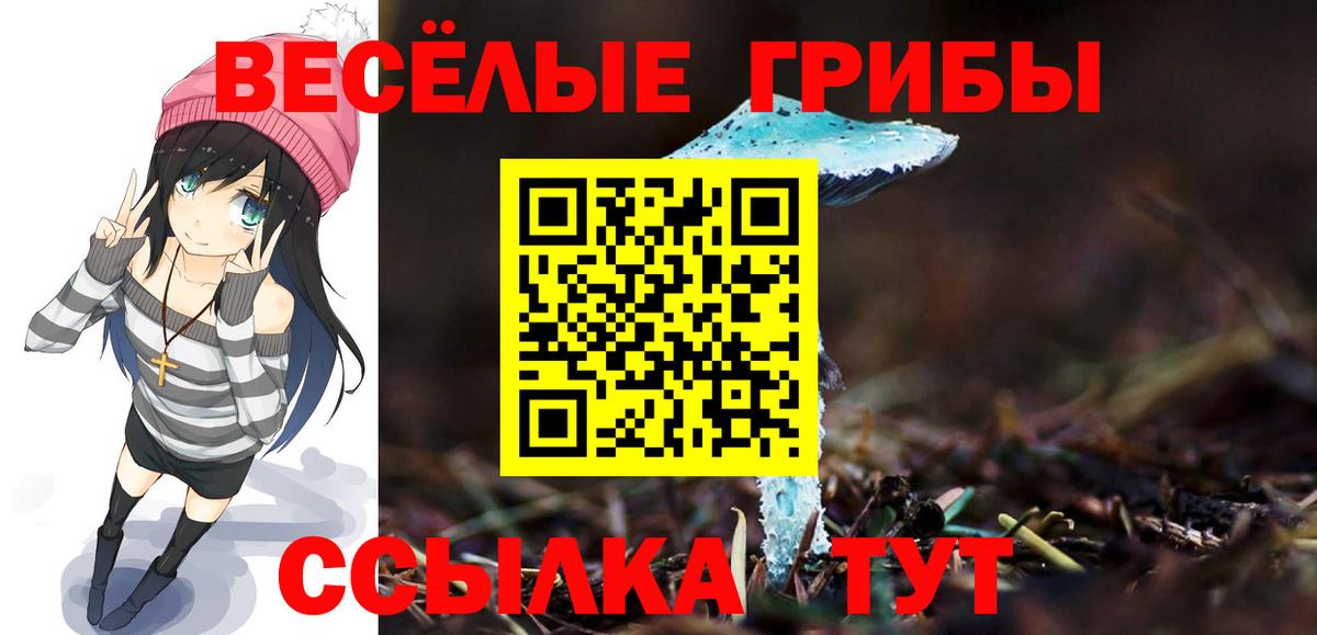 Галлюциногенные грибы Psilocybine cubensis  Вход с VPN  Волгоград 